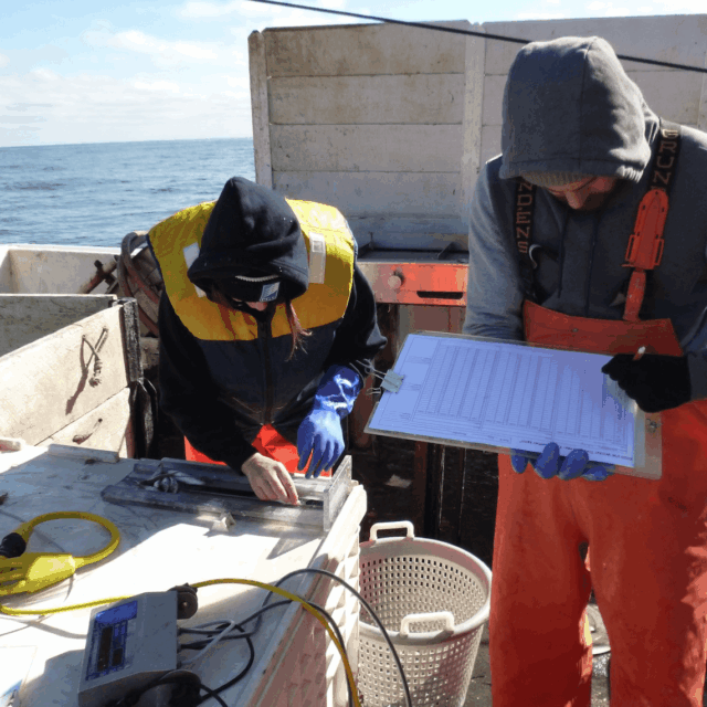 Researchers in protective clothing conducting scientific study on a boat at sea, examining equipment and recording data.