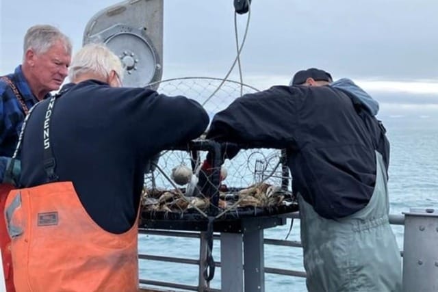 Three people on a boat examining a metal crab trap filled with crabs and fish under a cloudy sky.