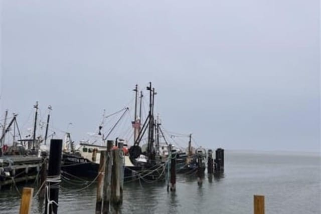 Fishing boats docked at a pier on a cloudy day with calm waters and wooden posts in the foreground.