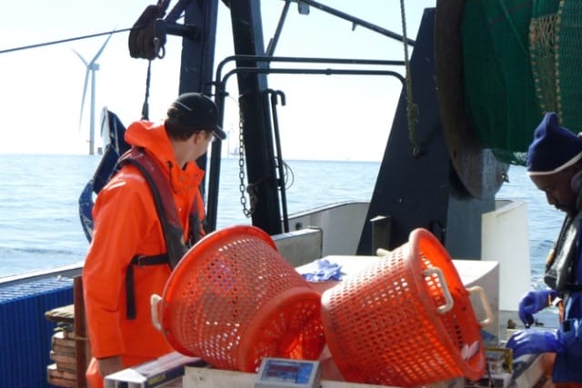 People on a boat with orange baskets and fishing gear in a marine setting with wind turbines in the background.
